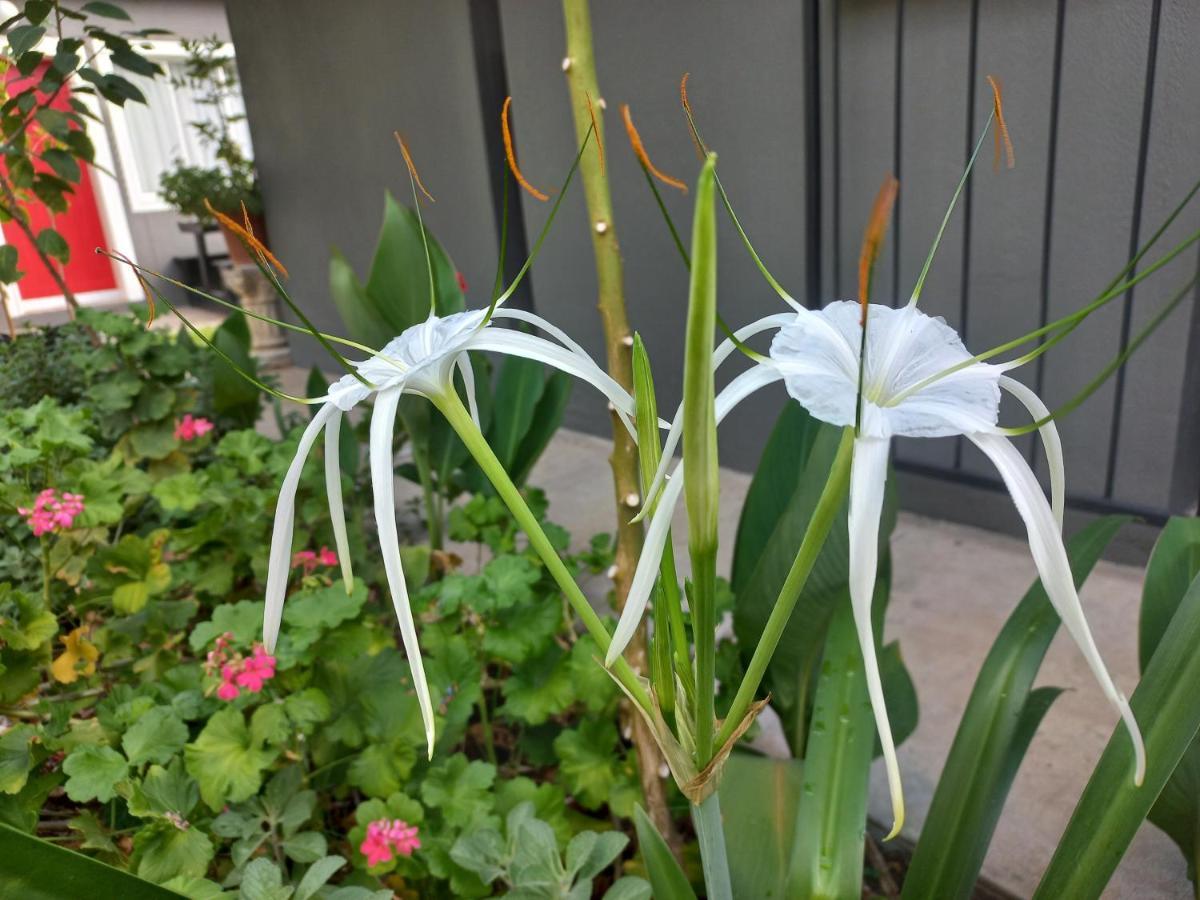 Urban Farm Haus Guesthouse Rundu Εξωτερικό φωτογραφία