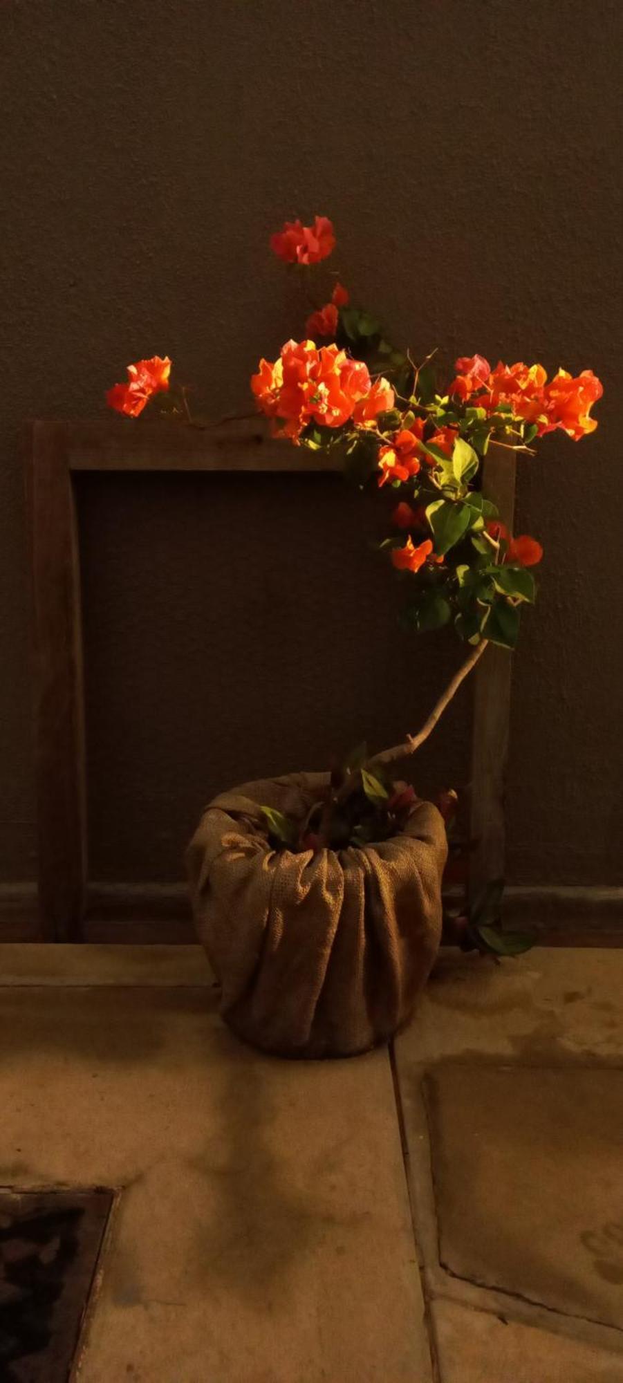 Urban Farm Haus Guesthouse Rundu Εξωτερικό φωτογραφία